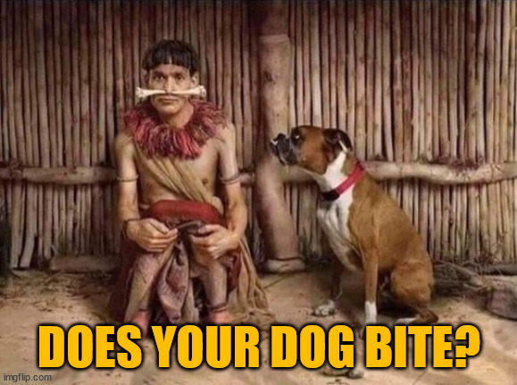 I don't think this ends well... | DOES YOUR DOG BITE? | image tagged in dad joke dog | made w/ Imgflip meme maker