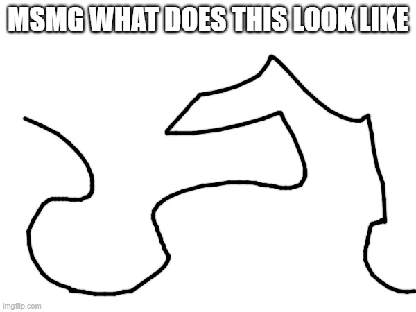 ... | MSMG WHAT DOES THIS LOOK LIKE | made w/ Imgflip meme maker