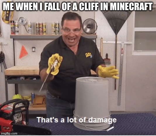 I don’t know | ME WHEN I FALL OF A CLIFF IN MINECRAFT | image tagged in thats a lot of damage | made w/ Imgflip meme maker