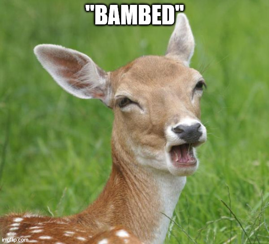 Go Home Bambi, You're Drunk | "BAMBED" | image tagged in go home bambi you're drunk | made w/ Imgflip meme maker