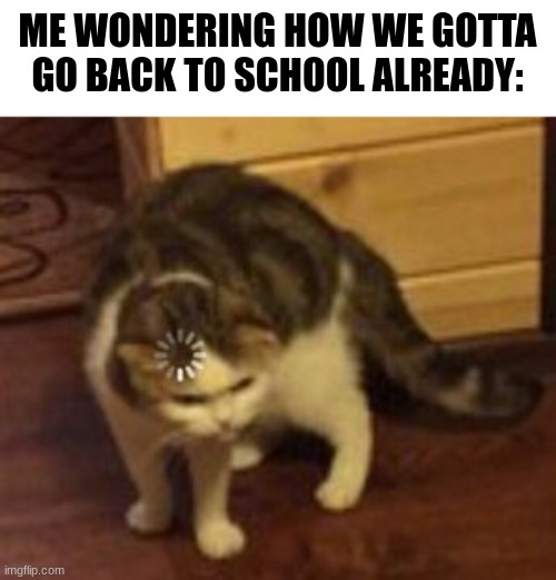 like wtf | ME WONDERING HOW WE GOTTA GO BACK TO SCHOOL ALREADY: | image tagged in loading cat | made w/ Imgflip meme maker