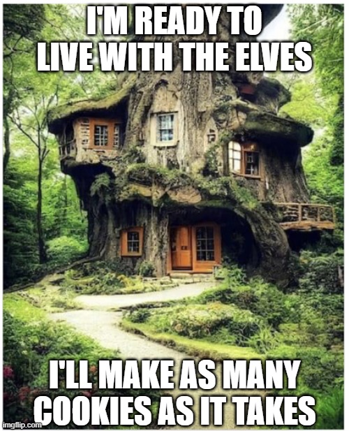  I'M READY TO LIVE WITH THE ELVES; I'LL MAKE AS MANY COOKIES AS IT TAKES | image tagged in elves,trees,forest,cookies | made w/ Imgflip meme maker