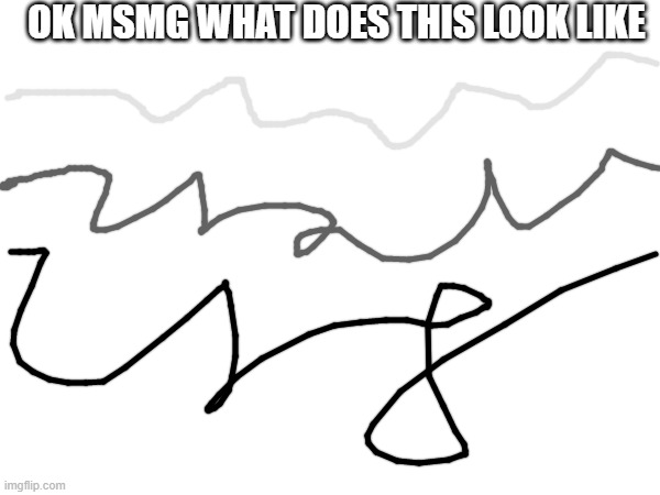 OK MSMG WHAT DOES THIS LOOK LIKE | made w/ Imgflip meme maker