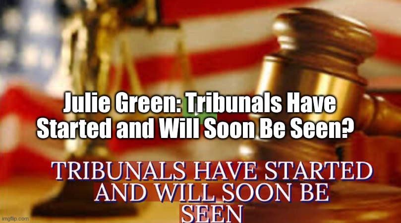 Julie Green: Tribunals Have Started and Will Soon Be Seen?  (Video) 