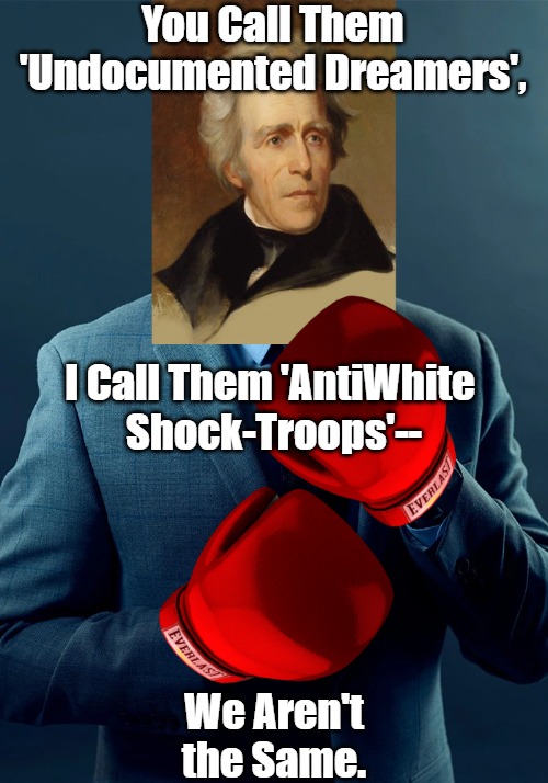 The Original Action Jackson | You Call Them 'Undocumented Dreamers', I Call Them 'AntiWhite 
Shock-Troops'--; We Aren't the Same. | image tagged in immigration,invasion,secure the border,americans under attack,andrew jackson,we are not the same | made w/ Imgflip meme maker