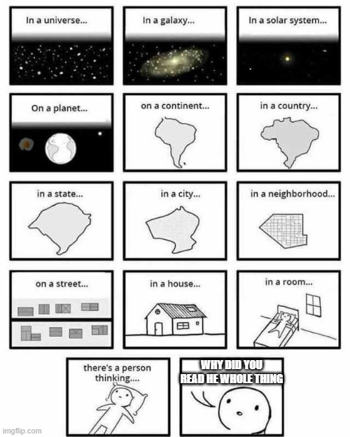 in a universe in a galaxy person thinking | WHY DID YOU READ HE WHOLE THING | image tagged in in a universe in a galaxy person thinking | made w/ Imgflip meme maker