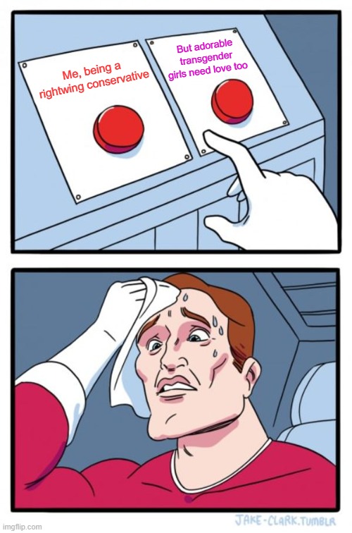 Like fire, hellfire, this fire in my skin... | But adorable transgender girls need love too; Me, being a rightwing conservative | image tagged in memes,two buttons,conservative,transgender,love,republican | made w/ Imgflip meme maker