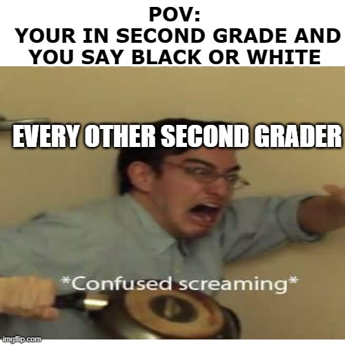 POV:
 YOUR IN SECOND GRADE AND YOU SAY BLACK OR WHITE; EVERY OTHER SECOND GRADER | image tagged in confused screaming | made w/ Imgflip meme maker