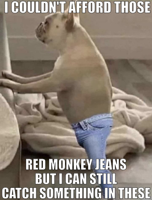 I STILL GOT IT! | I COULDN'T AFFORD THOSE; RED MONKEY JEANS BUT I CAN STILL CATCH SOMETHING IN THESE | image tagged in skinny jeans dog,meme | made w/ Imgflip meme maker