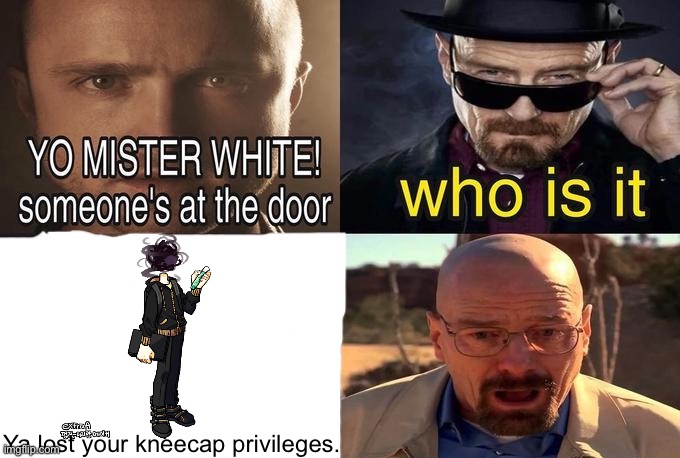 Yo Mr. White | Ya lost your kneecap privileges. | image tagged in yo mr white | made w/ Imgflip meme maker