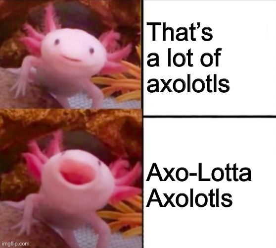 axolotl drake | That’s a lot of axolotls; Axo-Lotta Axolotls | image tagged in axolotl drake | made w/ Imgflip meme maker