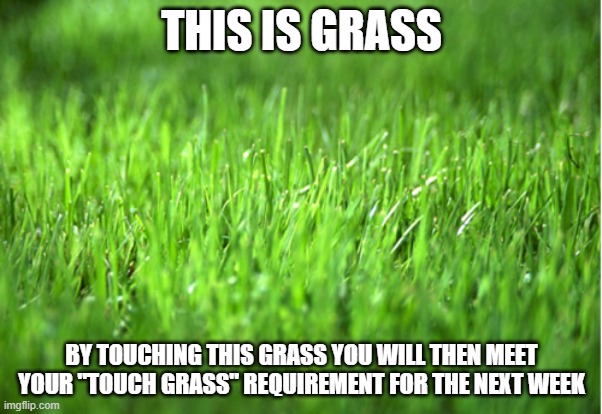 grass is greener | THIS IS GRASS; BY TOUCHING THIS GRASS YOU WILL THEN MEET YOUR "TOUCH GRASS" REQUIREMENT FOR THE NEXT WEEK | image tagged in grass is greener | made w/ Imgflip meme maker