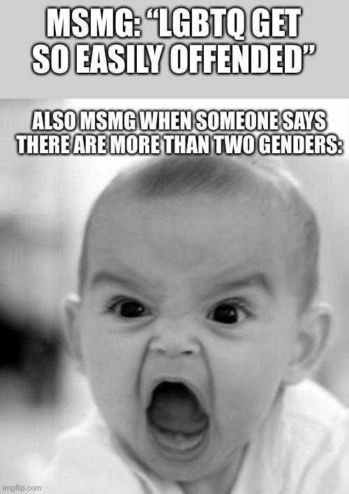 Angry Baby | MSMG: “LGBTQ GET SO EASILY OFFENDED”; ALSO MSMG WHEN SOMEONE SAYS THERE ARE MORE THAN TWO GENDERS: | image tagged in memes,angry baby | made w/ Imgflip meme maker