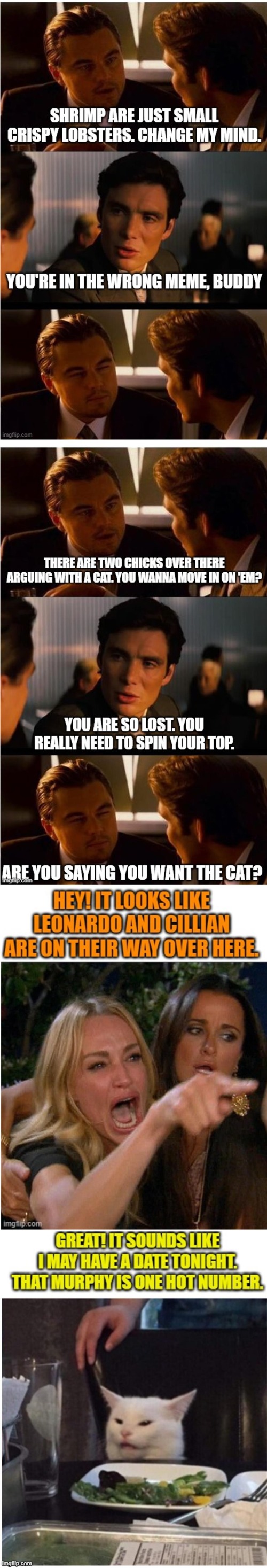 Inception Melodrama | image tagged in memes,inception,two women yelling at a cat | made w/ Imgflip meme maker