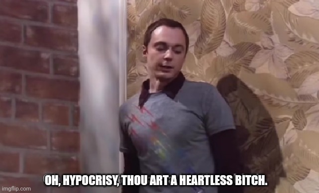 Oh, gravity, thou art a heartless bitch | OH, HYPOCRISY, THOU ART A HEARTLESS BITCH. | image tagged in oh gravity thou art a heartless bitch | made w/ Imgflip meme maker