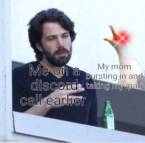 seagull screaming at guy | My mom bursting in and taking my ipad; Me on a discord call earlier | image tagged in seagull screaming at guy | made w/ Imgflip meme maker