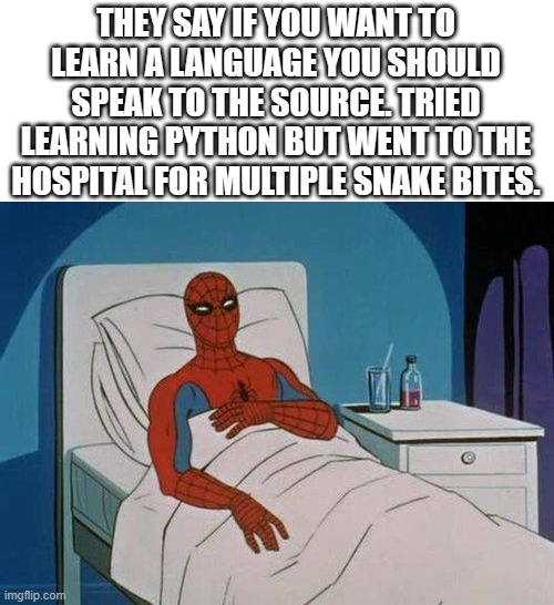 Don't listen to the sayings kids | THEY SAY IF YOU WANT TO LEARN A LANGUAGE YOU SHOULD SPEAK TO THE SOURCE. TRIED LEARNING PYTHON BUT WENT TO THE HOSPITAL FOR MULTIPLE SNAKE BITES. | image tagged in memes,spiderman hospital,spiderman | made w/ Imgflip meme maker