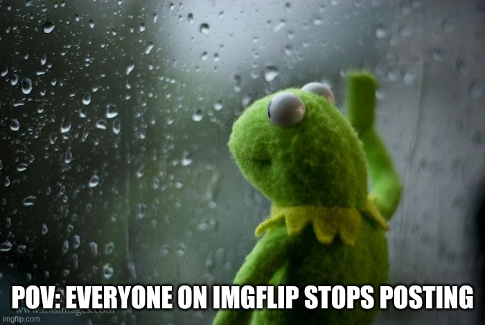 kermit window | POV: EVERYONE ON IMGFLIP STOPS POSTING | image tagged in kermit window | made w/ Imgflip meme maker