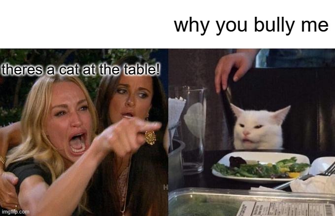 Woman Yelling At Cat Meme | why you bully me; theres a cat at the table! | image tagged in memes,woman yelling at cat | made w/ Imgflip meme maker