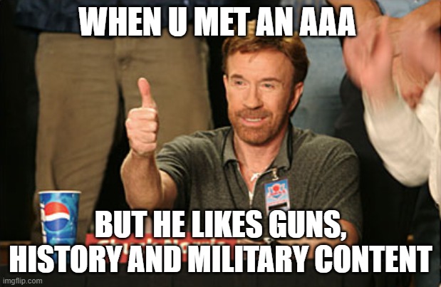 Not all AAA are bad | WHEN U MET AN AAA; BUT HE LIKES GUNS, HISTORY AND MILITARY CONTENT | image tagged in memes,chuck norris approves,chuck norris | made w/ Imgflip meme maker