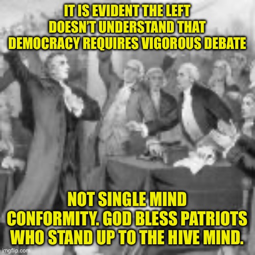 True Democracy is not always pretty | IT IS EVIDENT THE LEFT DOESN’T UNDERSTAND THAT DEMOCRACY REQUIRES VIGOROUS DEBATE; NOT SINGLE MIND CONFORMITY. GOD BLESS PATRIOTS WHO STAND UP TO THE HIVE MIND. | image tagged in democrats have one mind,the hive mind must be followed drone,vigorous debate makes for good democracy,long live the republic | made w/ Imgflip meme maker