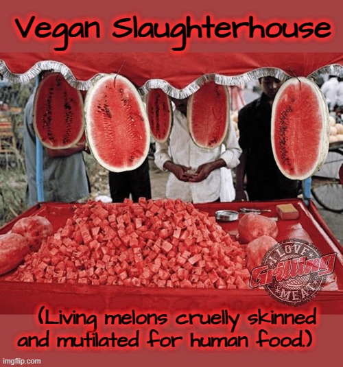 Vegan Killing | Vegan Slaughterhouse; (Living melons cruelly skinned
and mutilated for human food.) | image tagged in watermelons | made w/ Imgflip meme maker