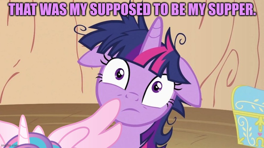 Messy Twilight Sparkle | THAT WAS MY SUPPOSED TO BE MY SUPPER. | image tagged in messy twilight sparkle | made w/ Imgflip meme maker