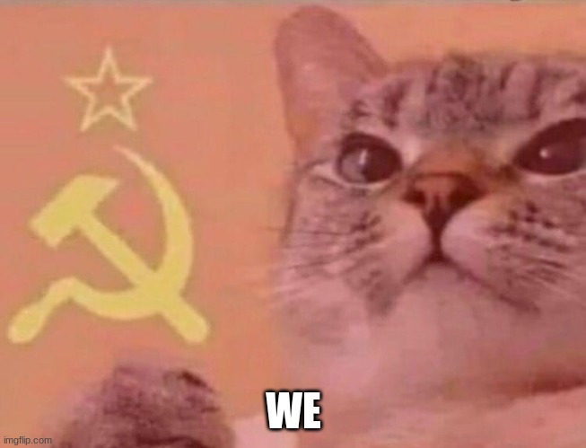 Communist cat | WE | image tagged in communist cat | made w/ Imgflip meme maker