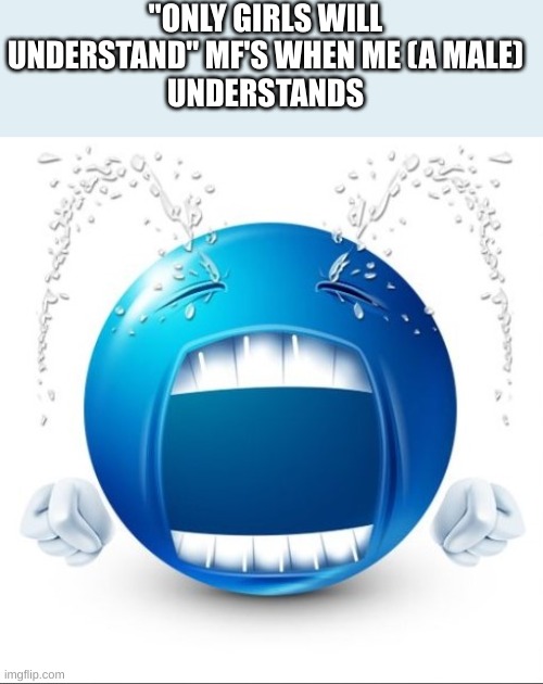 Crying Blue guy | "ONLY GIRLS WILL UNDERSTAND" MF'S WHEN ME (A MALE)
UNDERSTANDS | image tagged in crying blue guy | made w/ Imgflip meme maker