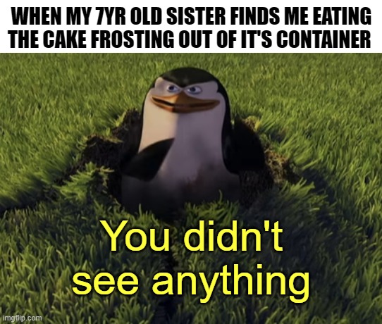 You saw nothing. |  WHEN MY 7YR OLD SISTER FINDS ME EATING THE CAKE FROSTING OUT OF IT'S CONTAINER | image tagged in you didn't see anything,skipper,penguins of madagascar,pillsbury doughboy,sister,i have crippling depression | made w/ Imgflip meme maker