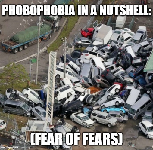 I do not have Phobophobia, but this is how I would believe it feels like. | PHOBOPHOBIA IN A NUTSHELL:; (FEAR OF FEARS) | image tagged in pile up,anxiety,memes,phobias,in a nutshell,hello this is dog | made w/ Imgflip meme maker