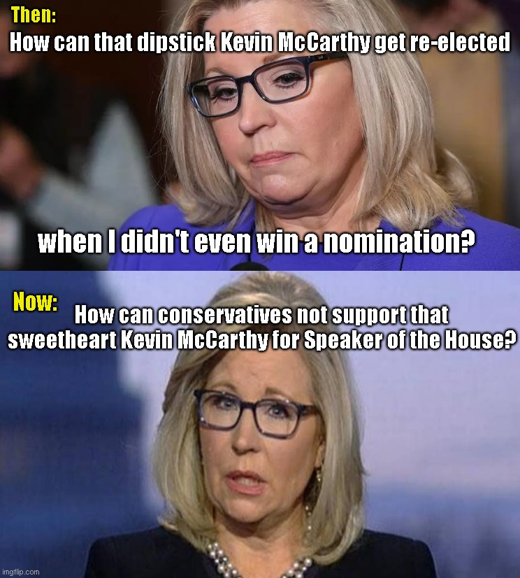 Sad Sack Liz Cheney | Then:; How can that dipstick Kevin McCarthy get re-elected; when I didn't even win a nomination? How can conservatives not support that sweetheart Kevin McCarthy for Speaker of the House? Now: | image tagged in sad sack liz cheney,rino,establishment gop,kevin mccarthy,speaker of the house,hypocrisy | made w/ Imgflip meme maker