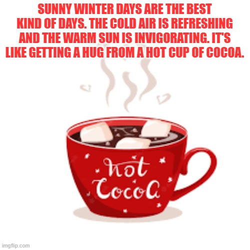 SUNNY WINTER DAYS ARE THE BEST KIND OF DAYS. THE COLD AIR IS REFRESHING AND THE WARM SUN IS INVIGORATING. IT'S LIKE GETTING A HUG FROM A HOT CUP OF COCOA. | made w/ Imgflip meme maker