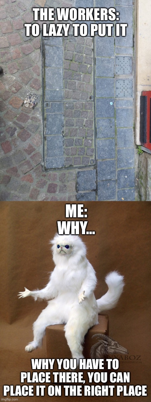 THE WORKERS:
TO LAZY TO PUT IT; ME:
WHY... WHY YOU HAVE TO PLACE THERE, YOU CAN PLACE IT ON THE RIGHT PLACE | image tagged in memes,persian cat room guardian single,you had one job,repost | made w/ Imgflip meme maker