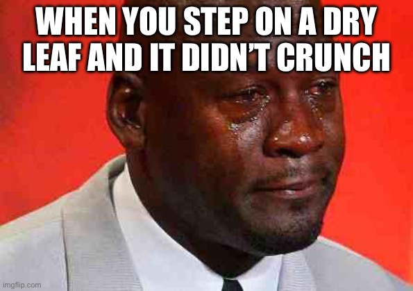 crying michael jordan | WHEN YOU STEP ON A DRY LEAF AND IT DIDN’T CRUNCH | image tagged in crying michael jordan | made w/ Imgflip meme maker