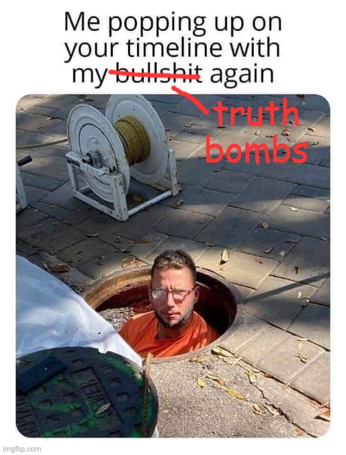 Truth Bombs | truth bombs | image tagged in bullshit,truth,truth bombs | made w/ Imgflip meme maker
