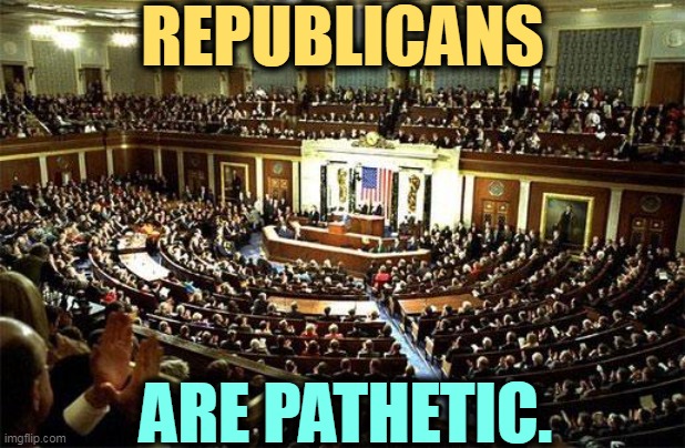 Meltdown | REPUBLICANS; ARE PATHETIC. | image tagged in congress,republicans,pathetic | made w/ Imgflip meme maker