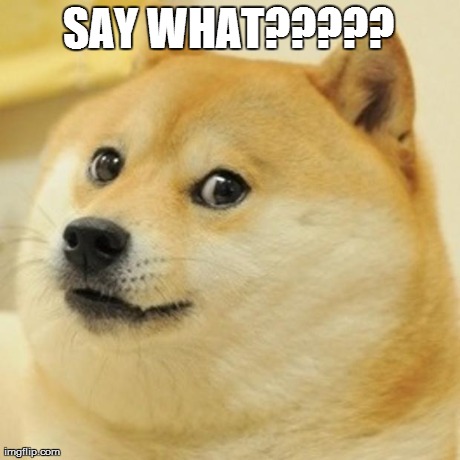 Doge Meme | SAY WHAT????? | image tagged in memes,doge | made w/ Imgflip meme maker
