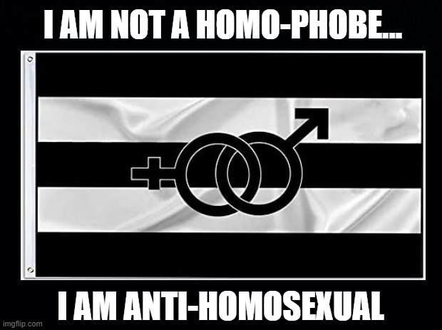 DON'T MESS WITH MY RIGHTS EITHER | I AM NOT A HOMO-PHOBE... I AM ANTI-HOMOSEXUAL | image tagged in straight pride,pride flag,go fuck yourself | made w/ Imgflip meme maker