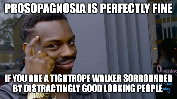 You can't if you don't | PROSOPAGNOSIA IS PERFECTLY FINE; IF YOU ARE A TIGHTROPE WALKER SORROUNDED BY DISTRACTINGLY GOOD LOOKING PEOPLE | image tagged in you can't if you don't | made w/ Imgflip meme maker