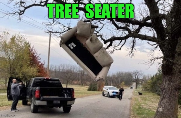 Tree seater | TREE  SEATER | image tagged in tree seater,you had one job | made w/ Imgflip meme maker