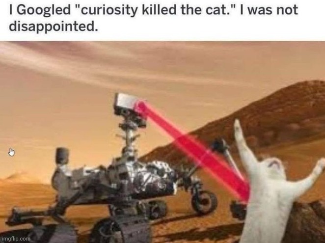 Curiosity | image tagged in n,o | made w/ Imgflip meme maker