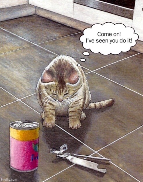 Cat and can | image tagged in cat,can and tin opener,i have seen you,do it,comics | made w/ Imgflip meme maker