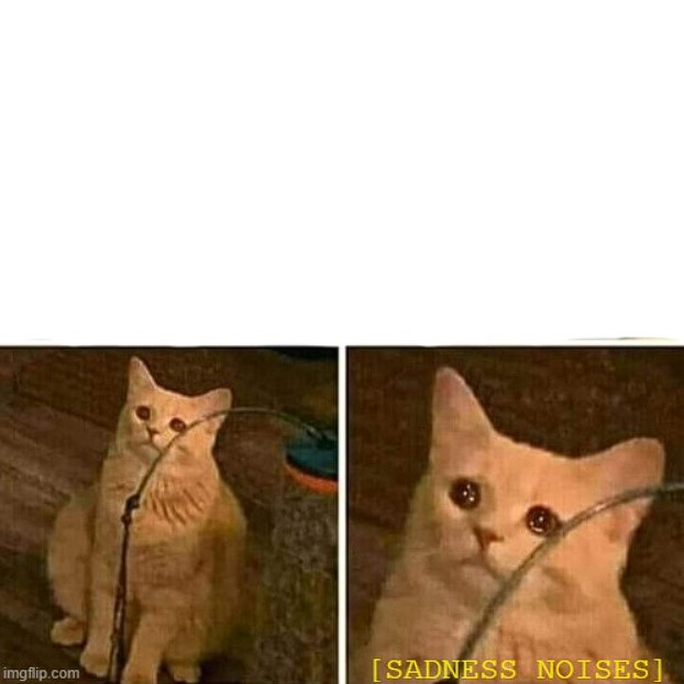 sad cat Blank Meme Template