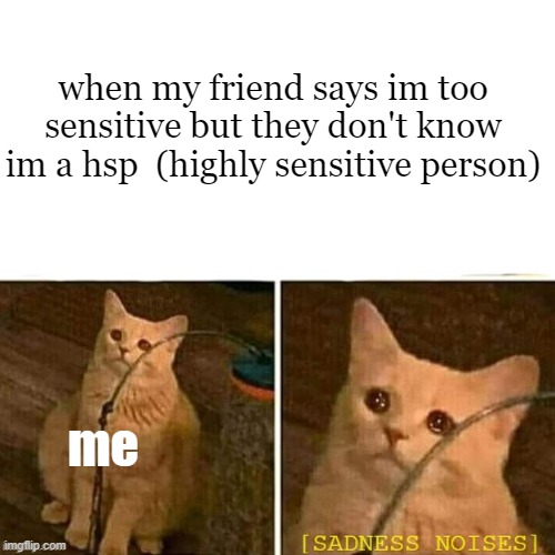 idk | when my friend says im too sensitive but they don't know im a hsp  (highly sensitive person); me | image tagged in sad cat | made w/ Imgflip meme maker
