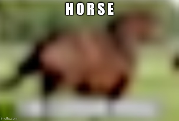 extremely low quality horse | H O R S E | image tagged in extremely low quality horse | made w/ Imgflip meme maker