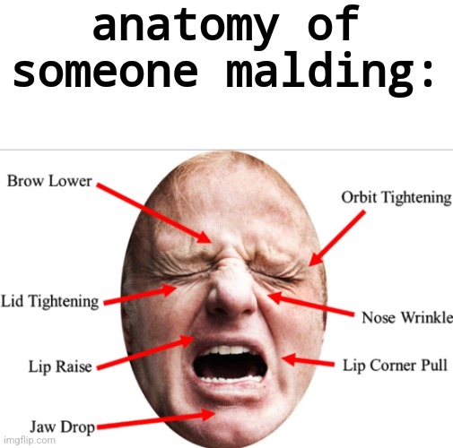 now go use this to cyberbully or some shit idk | anatomy of someone malding: | made w/ Imgflip meme maker