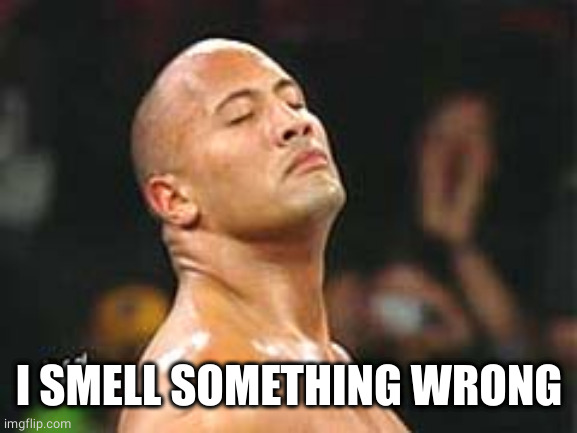 The Rock Smelling | I SMELL SOMETHING WRONG | image tagged in the rock smelling | made w/ Imgflip meme maker