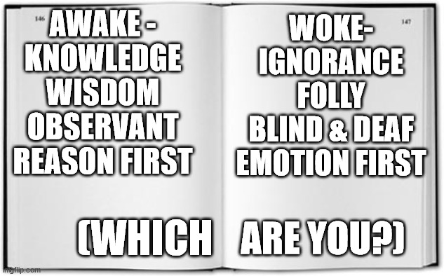 Awake vs. Woke | AWAKE -
KNOWLEDGE
WISDOM
OBSERVANT
REASON FIRST; WOKE-
IGNORANCE
FOLLY
BLIND & DEAF
EMOTION FIRST; ARE YOU?); (WHICH | image tagged in blank book,politics | made w/ Imgflip meme maker