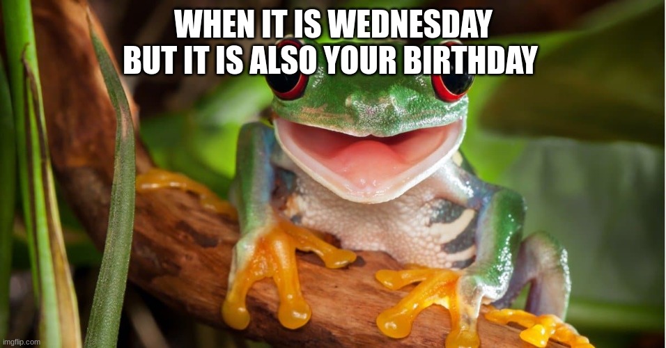 WHEN IT IS WEDNESDAY BUT IT IS ALSO YOUR BIRTHDAY | made w/ Imgflip meme maker